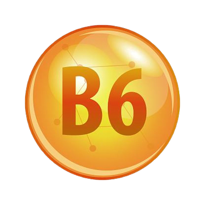 b6-thanh-phan-zen
